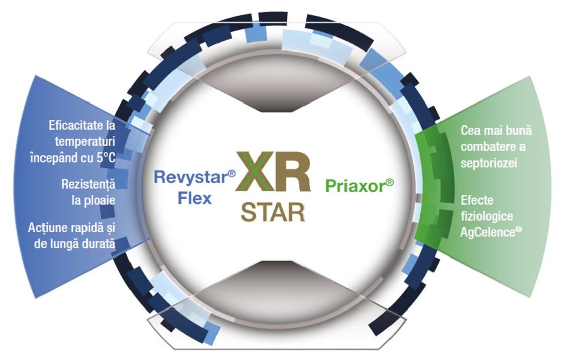 XR STAR