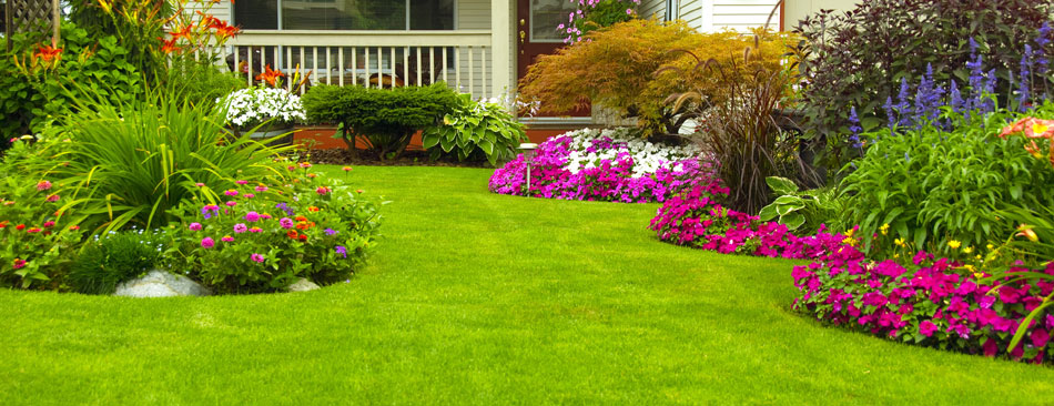 Solutia completa pentru intretinerea gazonului