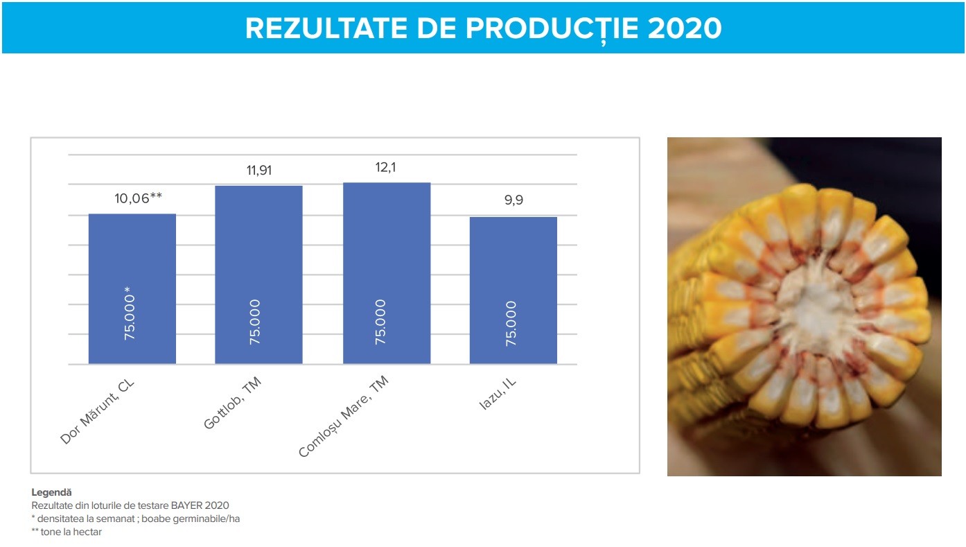 Rezultate productie Hibrid Dekalb DKC 4709 - Verdon
