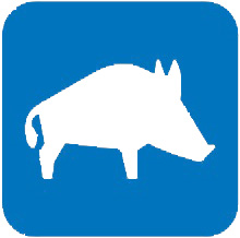 Animale salbatice