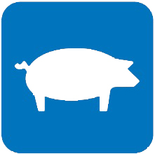 Porci