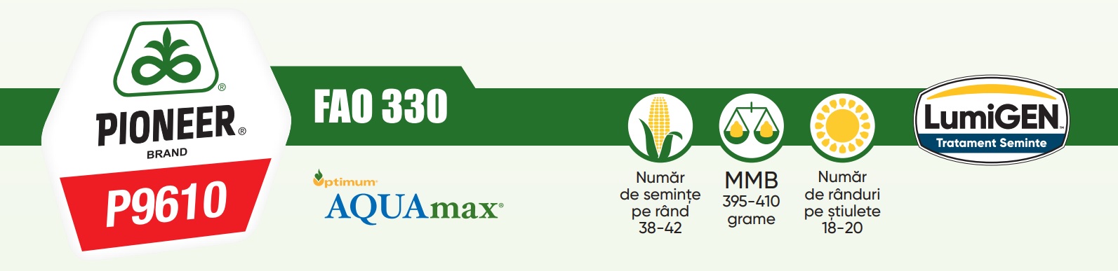 Samanta Porumb Pioneer P9610