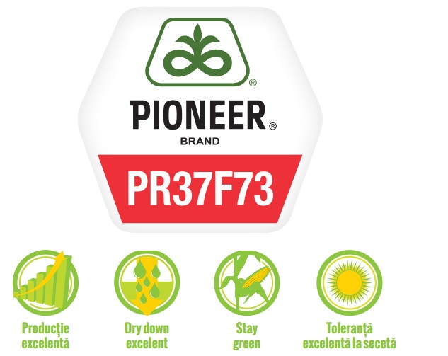 Logo Pioneer PR37F73