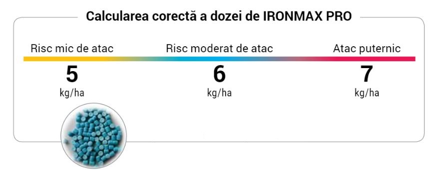 Ironmax Pro doza.JPG