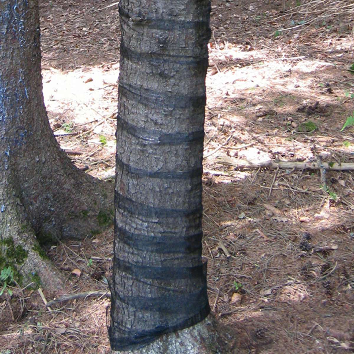 Plasa protectie Mono Poly N Econom