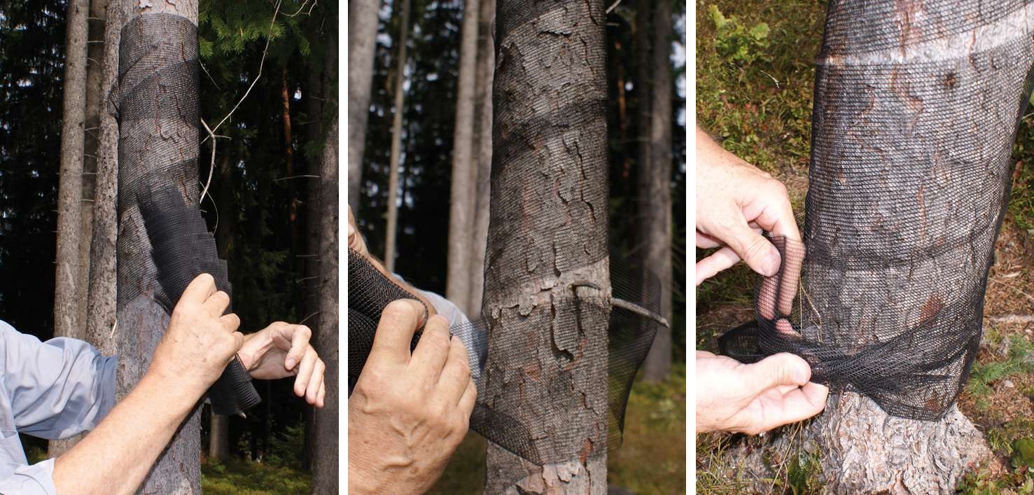 Plasa protectie Mono Poly N Econom