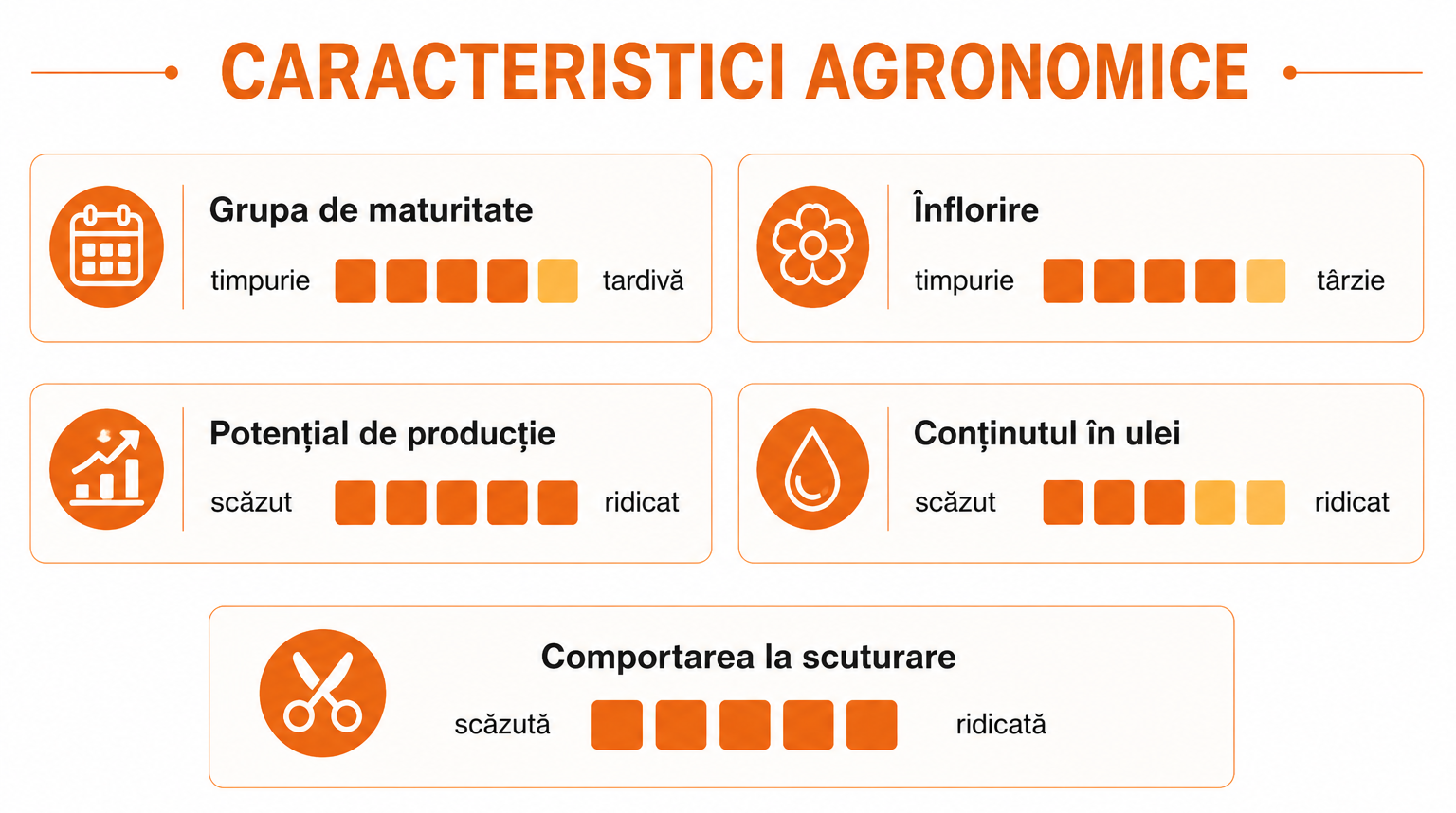 verdon-caracteristici-agronomice-mikados