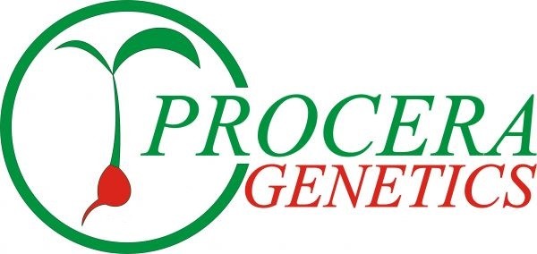 Procera