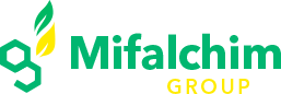 Logo Mifalchim Group